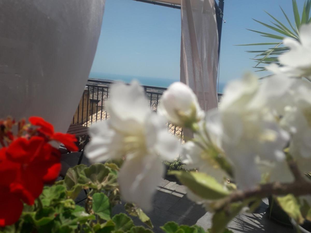 Tesori Di Girgenti Bed & Breakfast Agrigento Exterior photo